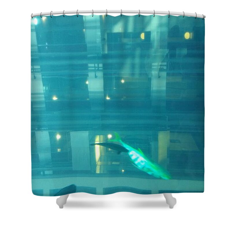 Helsinki Finland Aquarium All Around Us 360 Degrees By Elevator Beautiful Experience. Shower Curtain featuring the photograph Aquarium which surrounded us #5 by Zachary Lowery