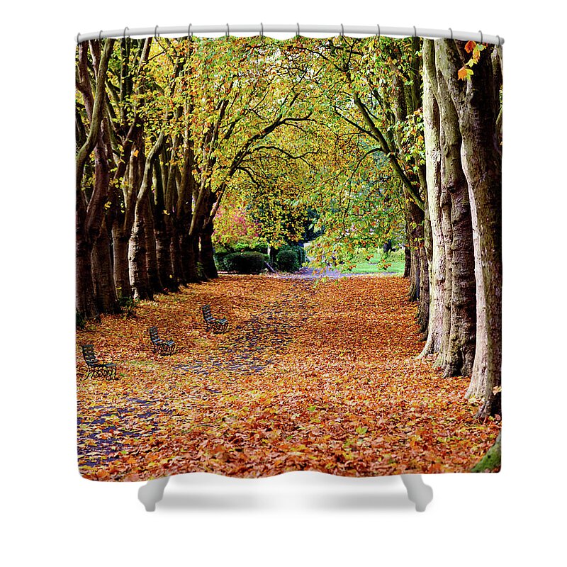 Autumn Shower Curtain featuring the photograph Autumn in the park by Colin Rayner