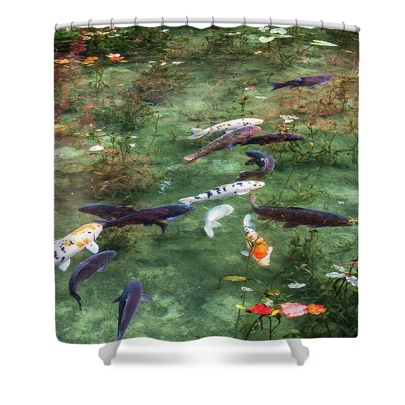 Colored Carp Shower Curtain featuring the photograph Colored Carp at Monet's Pond #5 by Hisao Mogi