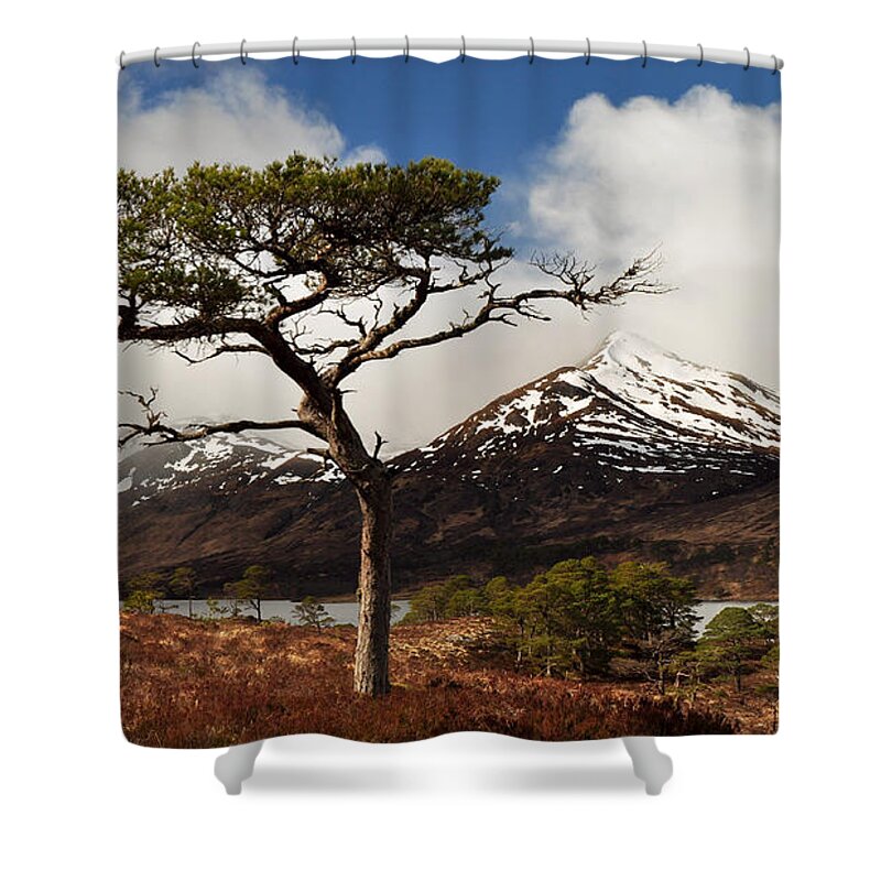 Glen Affric Shower Curtain featuring the photograph Glen Affric #5 by Gavin Macrae