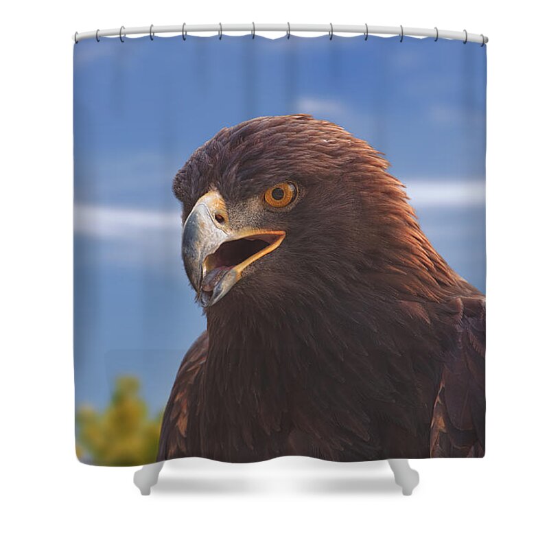Animal Shower Curtain featuring the photograph Golden Eagle #5 by Brian Cross