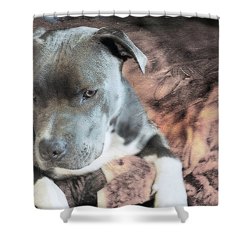  Shower Curtain featuring the photograph Lazy Afternoon #5 by Ang El