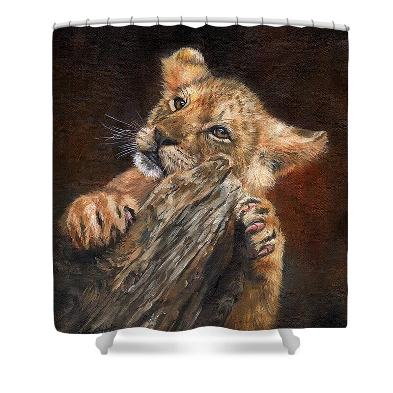 Lion Shower Curtain featuring the painting Lion Cub #5 by David Stribbling