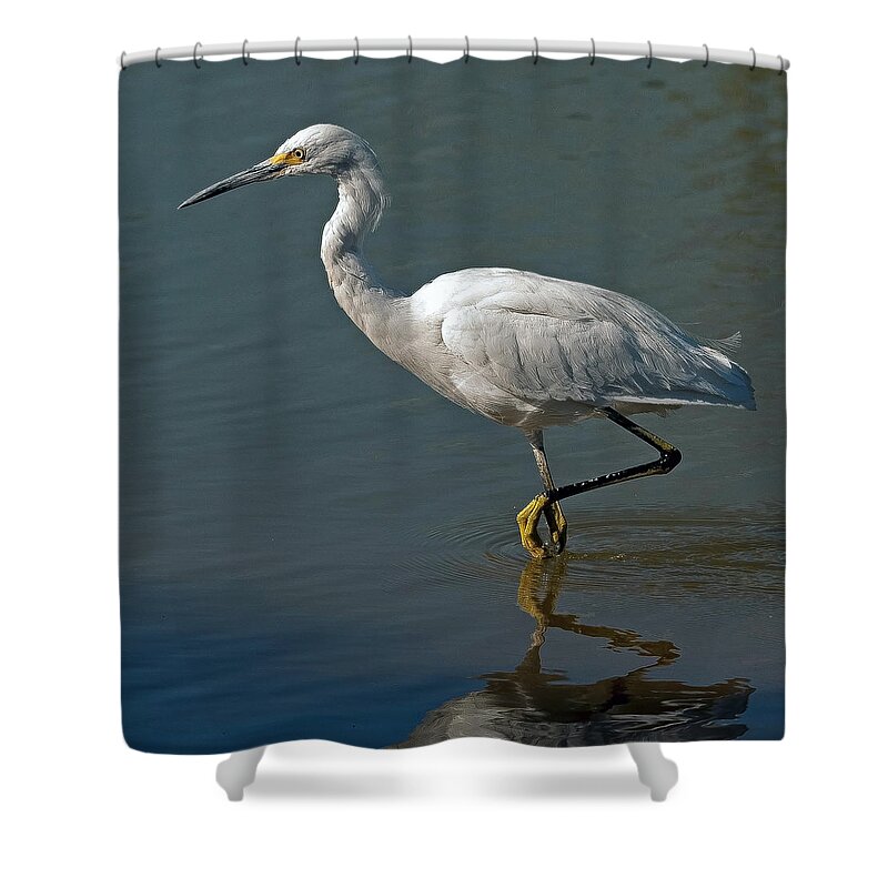 Snowy Egret Shower Curtain featuring the photograph Snowy Egret by Tam Ryan