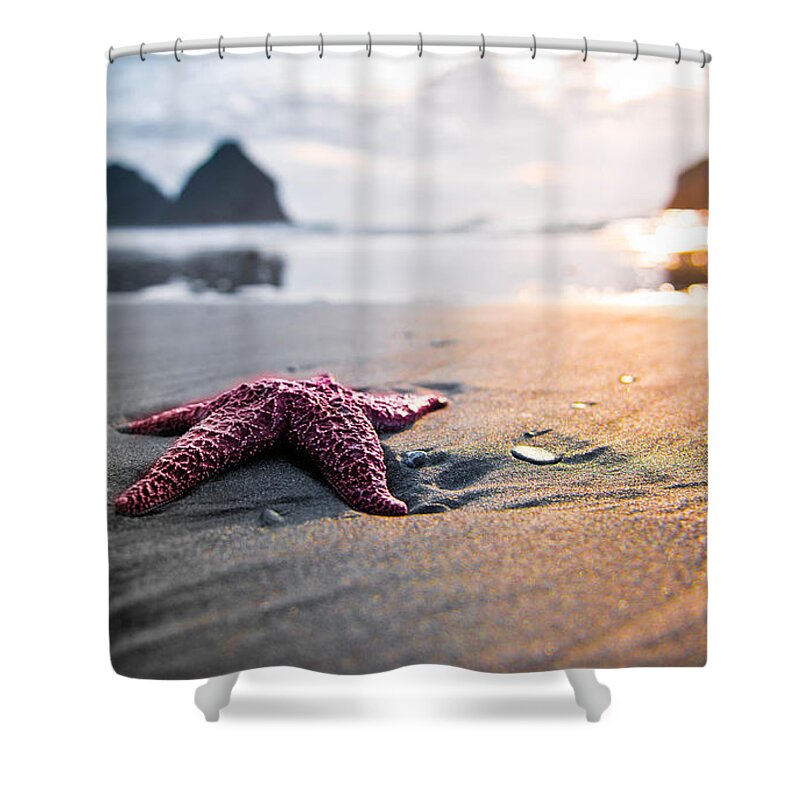 Starfish Shower Curtain featuring the photograph Starfish #5 by Mariel Mcmeeking