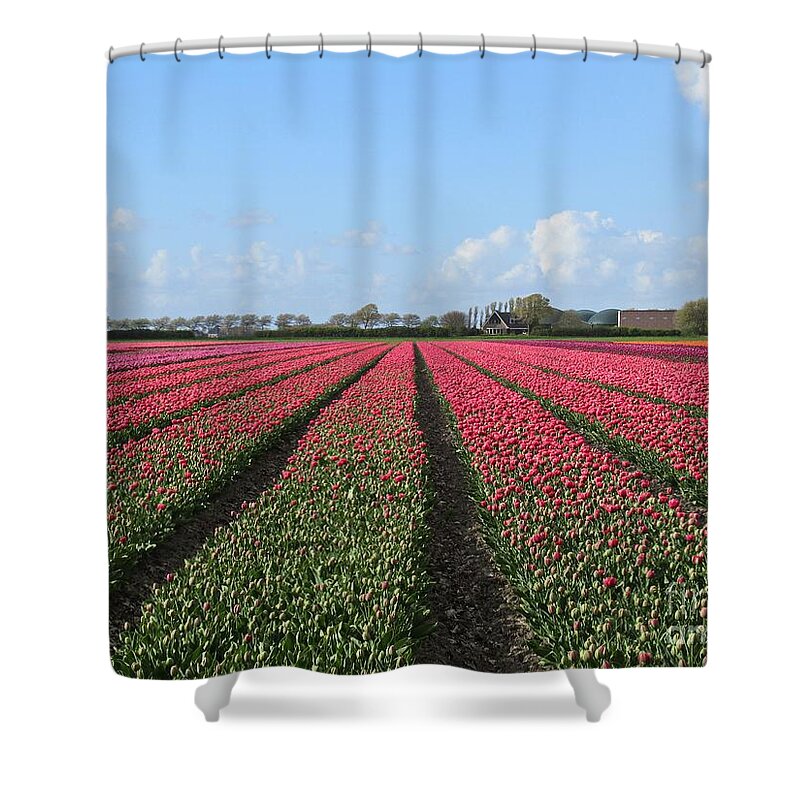 Tulip Shower Curtain featuring the photograph Tulips in Warmenhuizen #2 by Chani Demuijlder