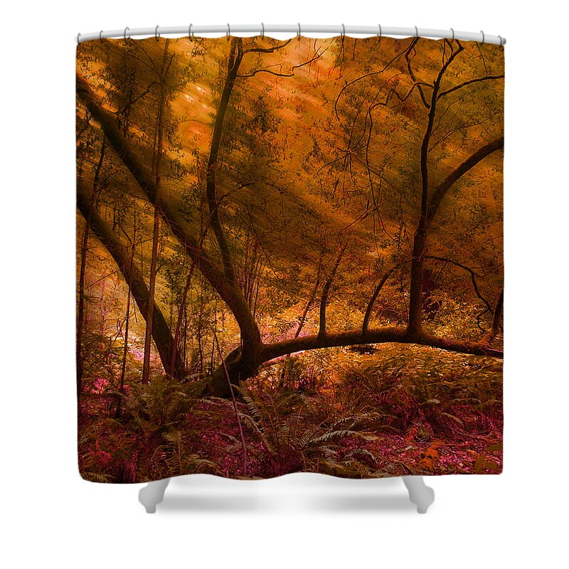 Trees Shower Curtain featuring the photograph 4136 by Peter Holme III