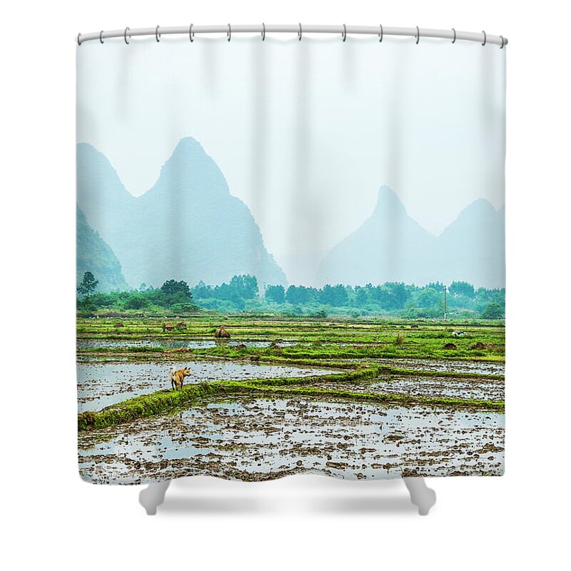 The Beautiful Karst Rural Scenery In Spring Shower Curtain featuring the photograph Karst rural scenery in spring #52 by Carl Ning