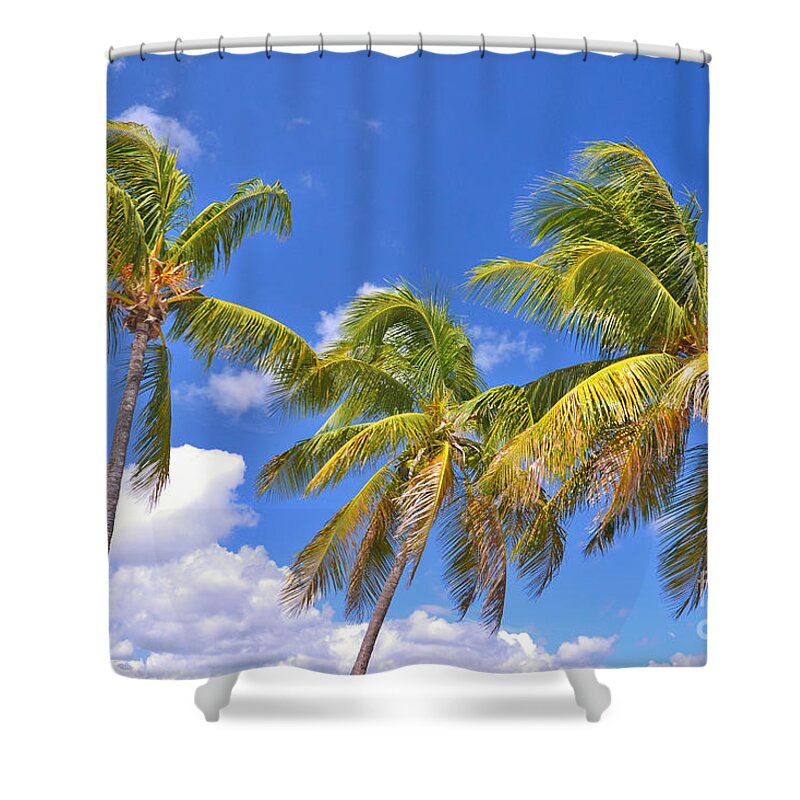 Palm Trees Shower Curtain featuring the photograph 52- Palms In Paradise by Joseph Keane