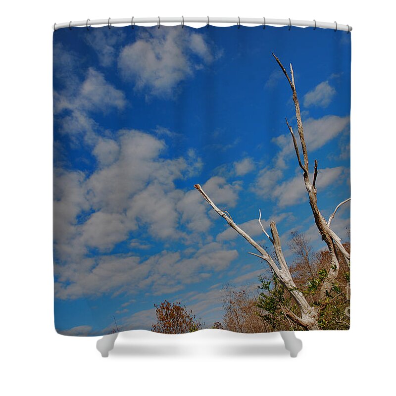 Grassy Waters Preserve Shower Curtain featuring the photograph 53- Everglades Afternoon by Joseph Keane