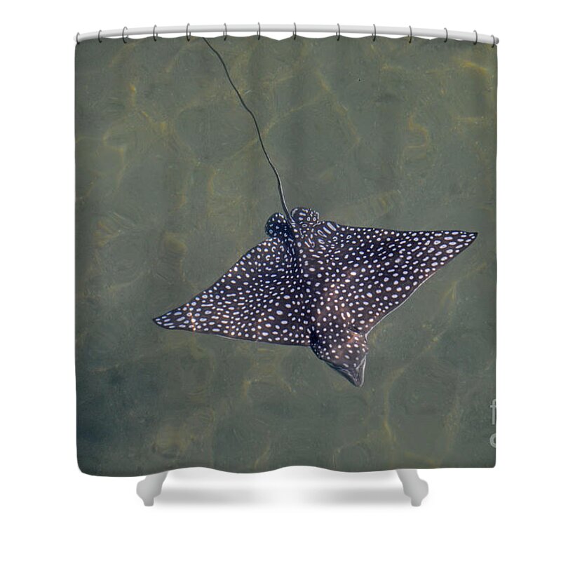 Eagle Ray Shower Curtain featuring the photograph 54- Eagle Ray by Joseph Keane