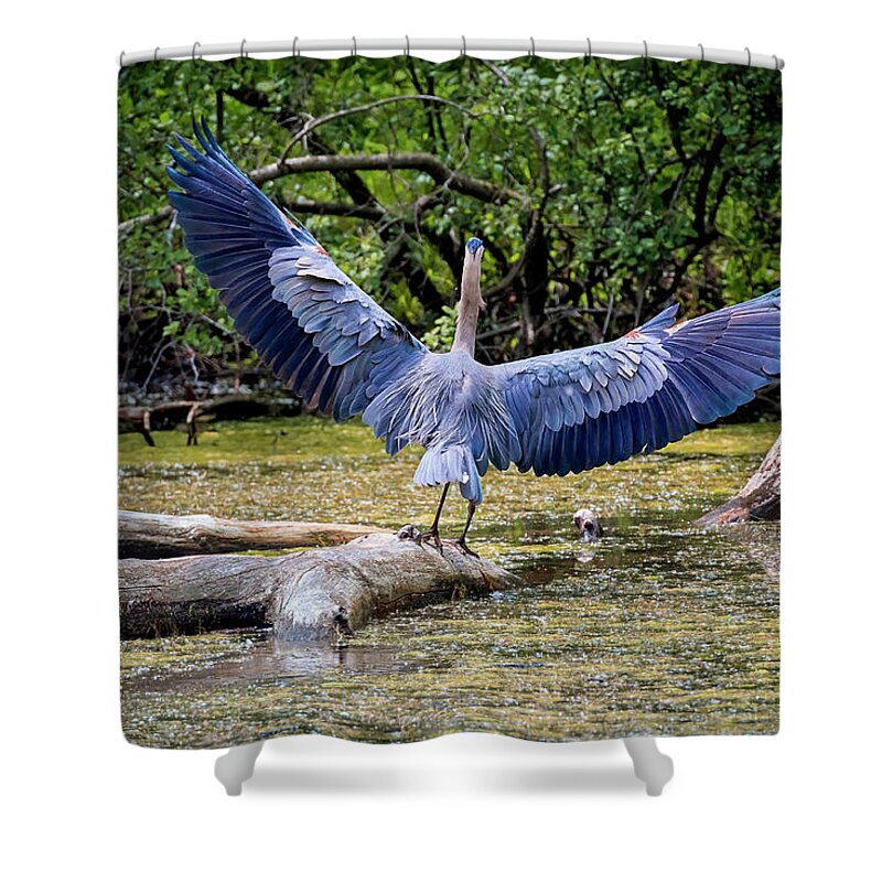Animal Shower Curtain featuring the photograph Blue Heron by Peter Lakomy