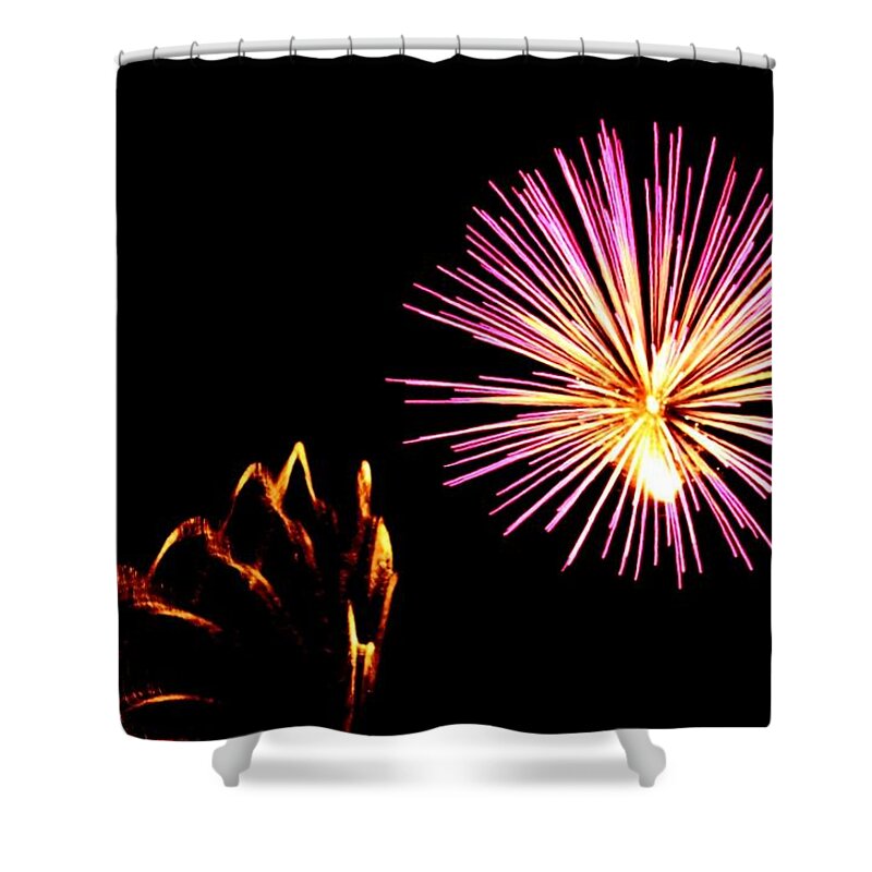 Firework Shower Curtain featuring the photograph Fireworks #6 by Donn Ingemie