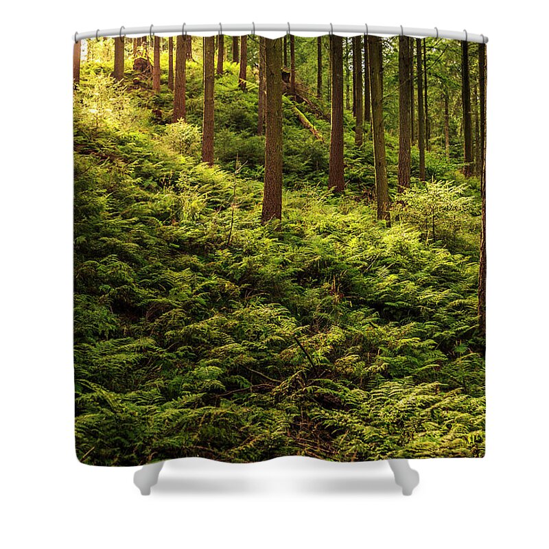 Forest Shower Curtain featuring the photograph Forest #6 by Elmer Jensen