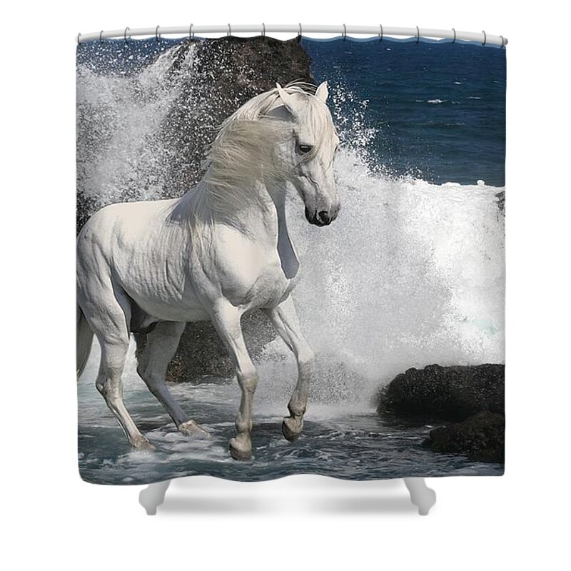 Horse Shower Curtain featuring the photograph Horse #6 by Jackie Russo