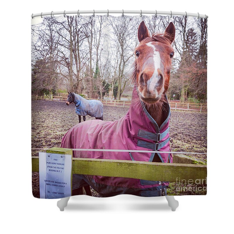 D90 Shower Curtain featuring the photograph Horse #6 by Mariusz Talarek