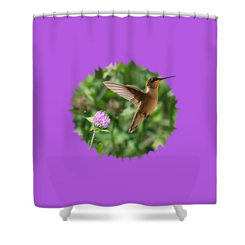 Hummingbird Shower Curtain featuring the photograph Hummingbird by Holden The Moment