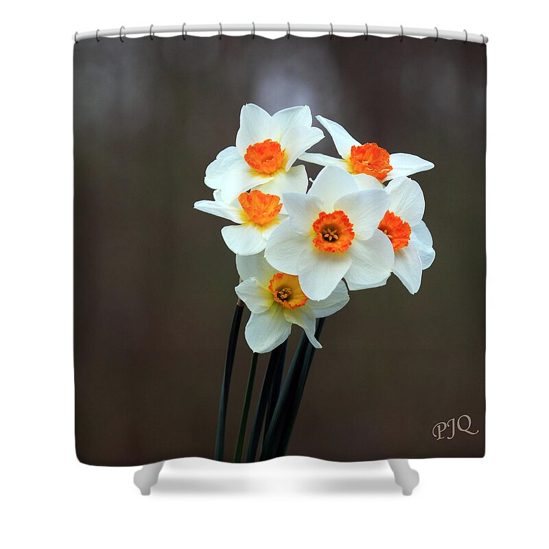 Pillow Gallery Shower Curtain featuring the photograph Pillow Gallery #6 by PJQandFriends Photography
