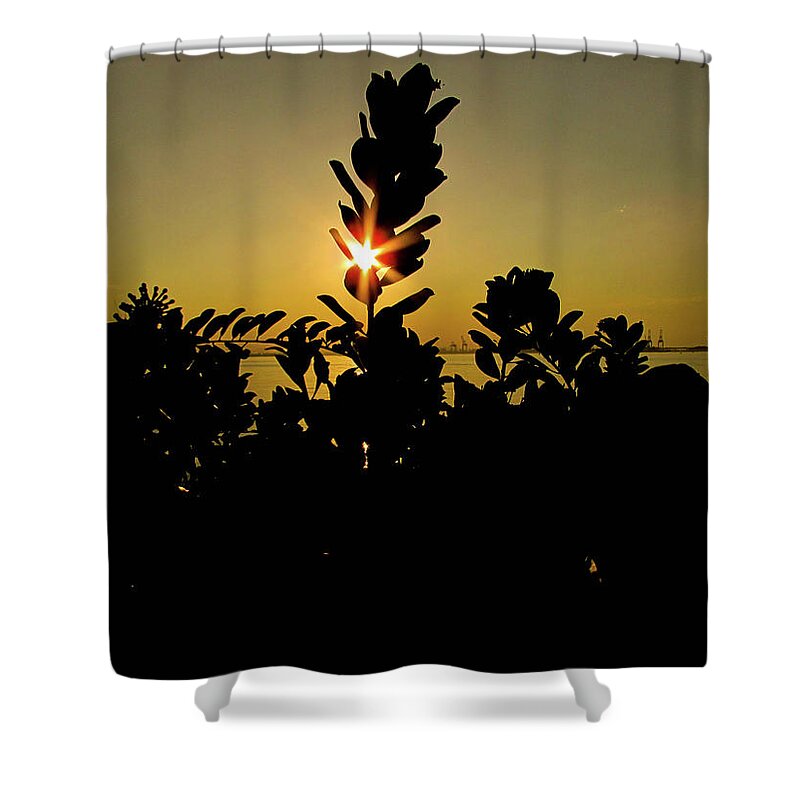 Sun Shower Curtain featuring the photograph Sunset #6 by Cesar Vieira