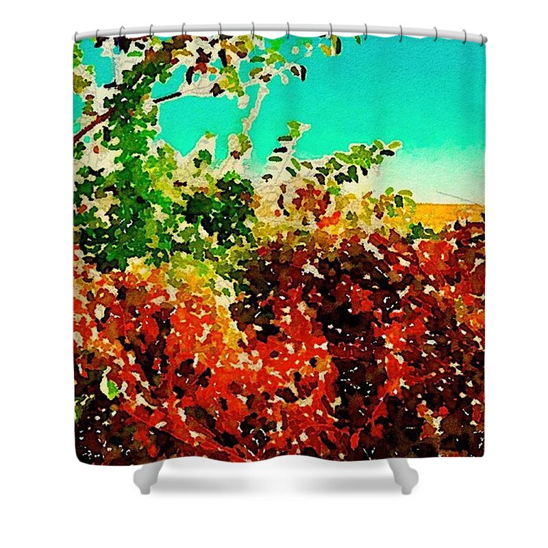 Watercolor Shower Curtain featuring the photograph Fall Foliage Square by Jennifer Richter