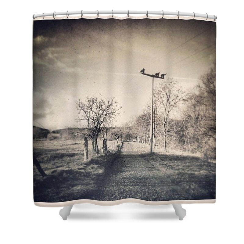  Shower Curtain featuring the photograph Instagram Photo #61440418652 by Mandy Tabatt