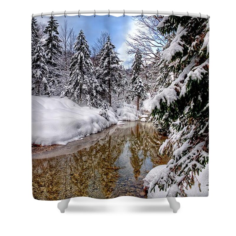 Winter Shower Curtain featuring the digital art Winter #63 by Super Lovely