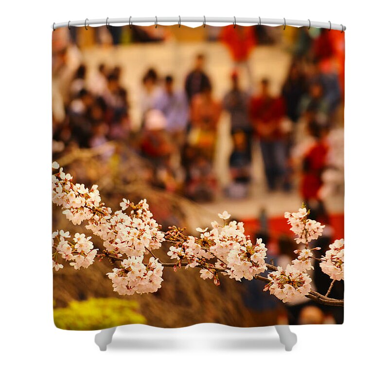 Cherryblossoms Shower Curtain featuring the photograph Cherryblossoms/fukuoka,japan #7 by Tamkats Ry