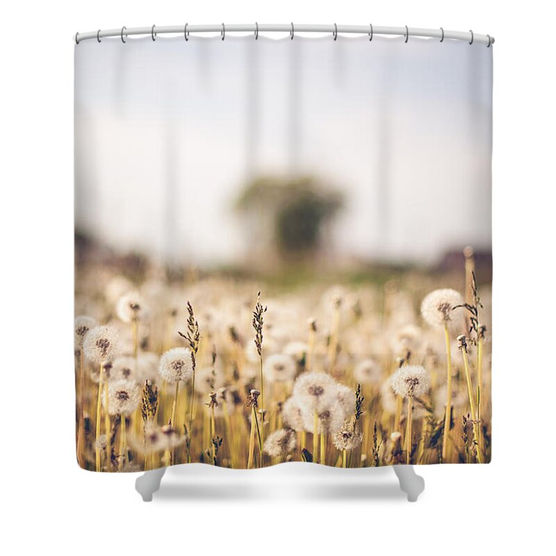Field Shower Curtain featuring the digital art Field #7 by Maye Loeser