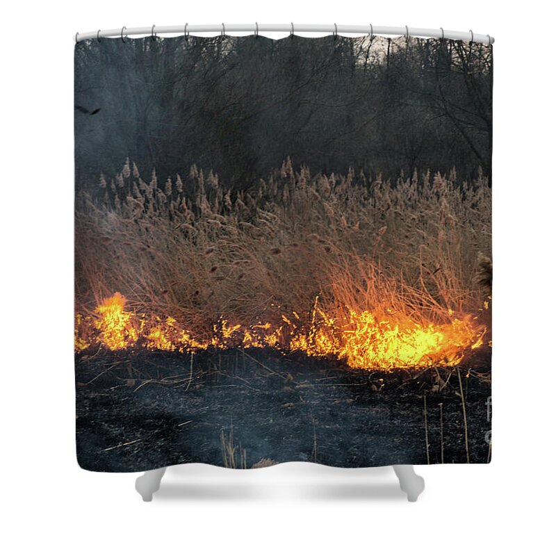 Nature Shower Curtain featuring the photograph Fires sunset landscape #7 by Oleksandr Masnyi