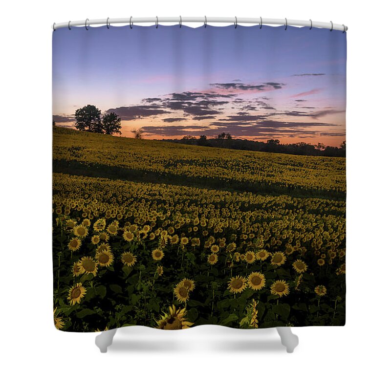 Sunflower Shower Curtain featuring the photograph Sunflower Sunset #7 by Ryan Heffron