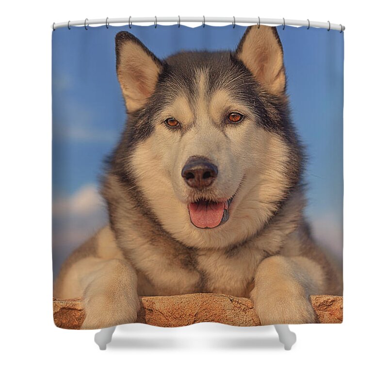 Animal Shower Curtain featuring the photograph Timber #7 by Brian Cross