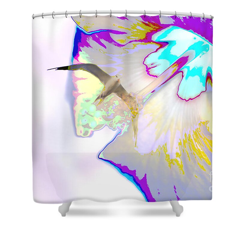 Seagulls Shower Curtain featuring the photograph 73- Seabiscus by Joseph Keane