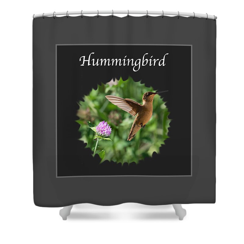 Hummingbird Shower Curtain featuring the photograph Hummingbird by Holden The Moment