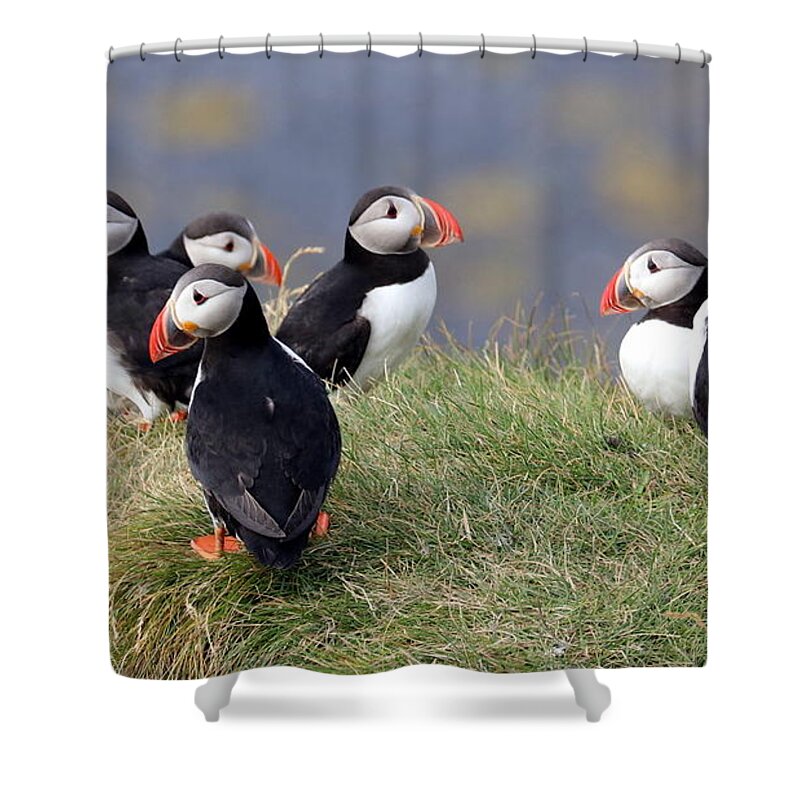 Iceland Shower Curtain featuring the photograph Iceland #8 by Paul James Bannerman
