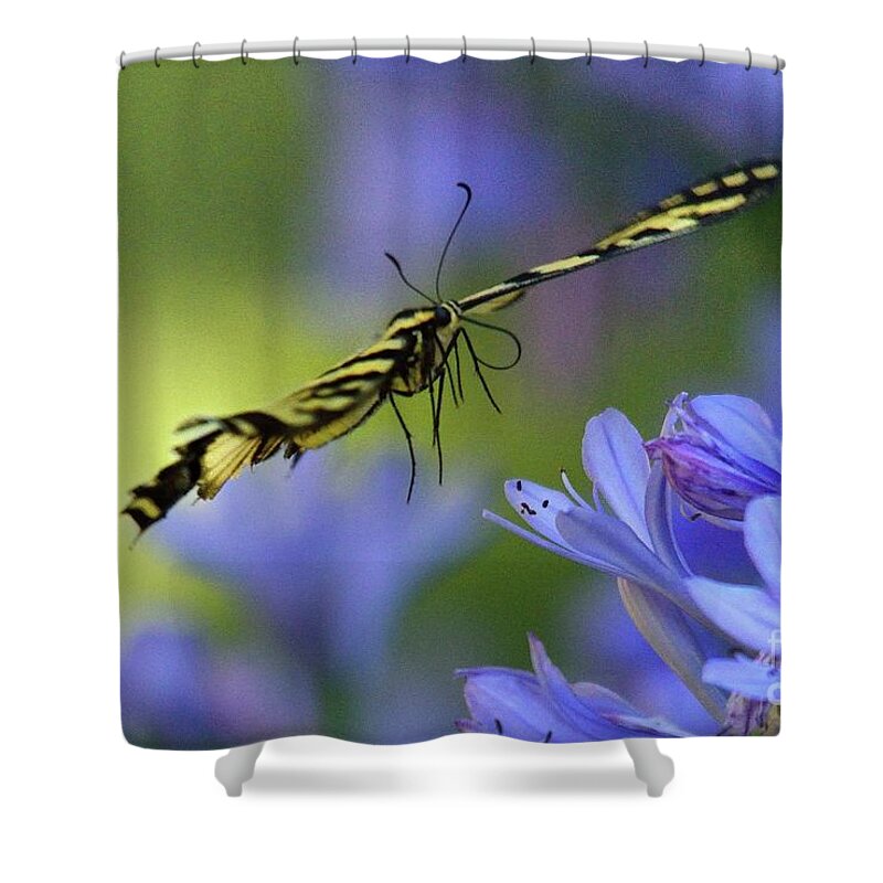 Butterfly Shower Curtain featuring the photograph Butterfly #80 by Marc Bittan