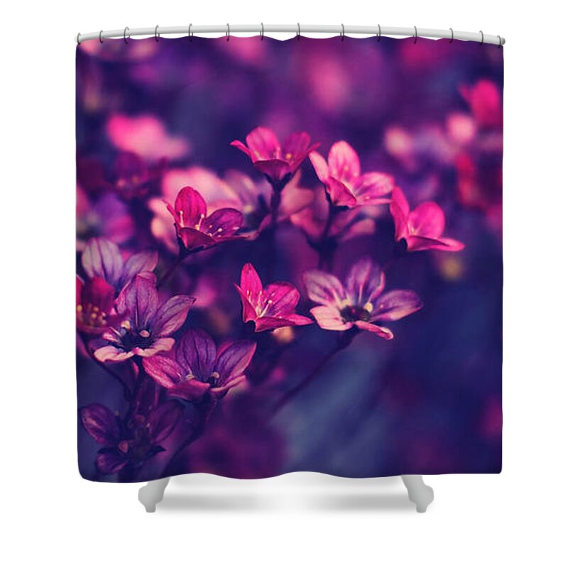 Flower Shower Curtain featuring the photograph Flower #85 by Mariel Mcmeeking