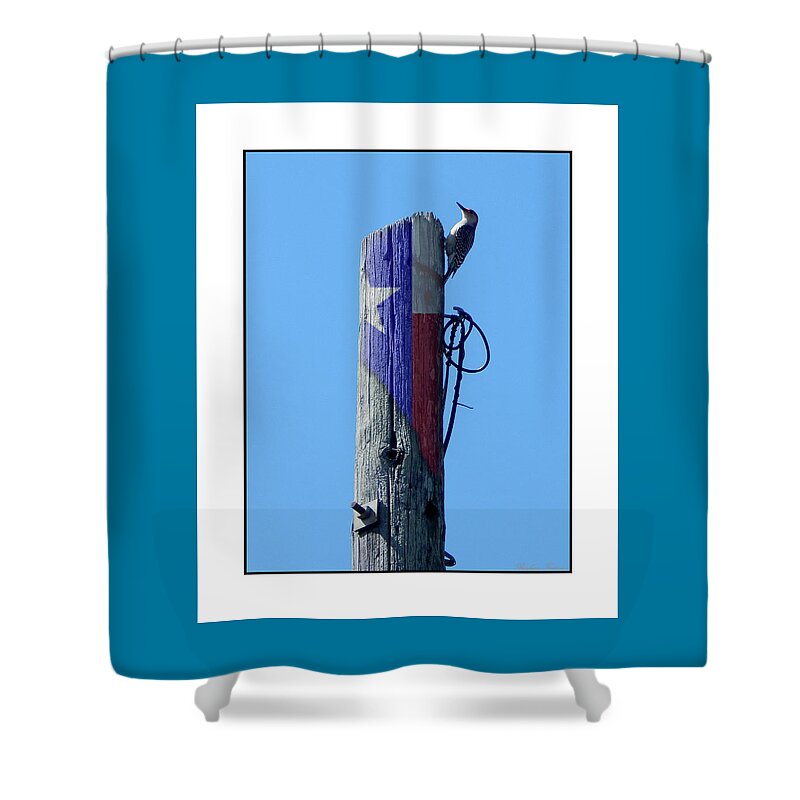 Barbara Tristan Shower Curtain featuring the photograph #8667 Woodpecker #8667 by Barbara Tristan