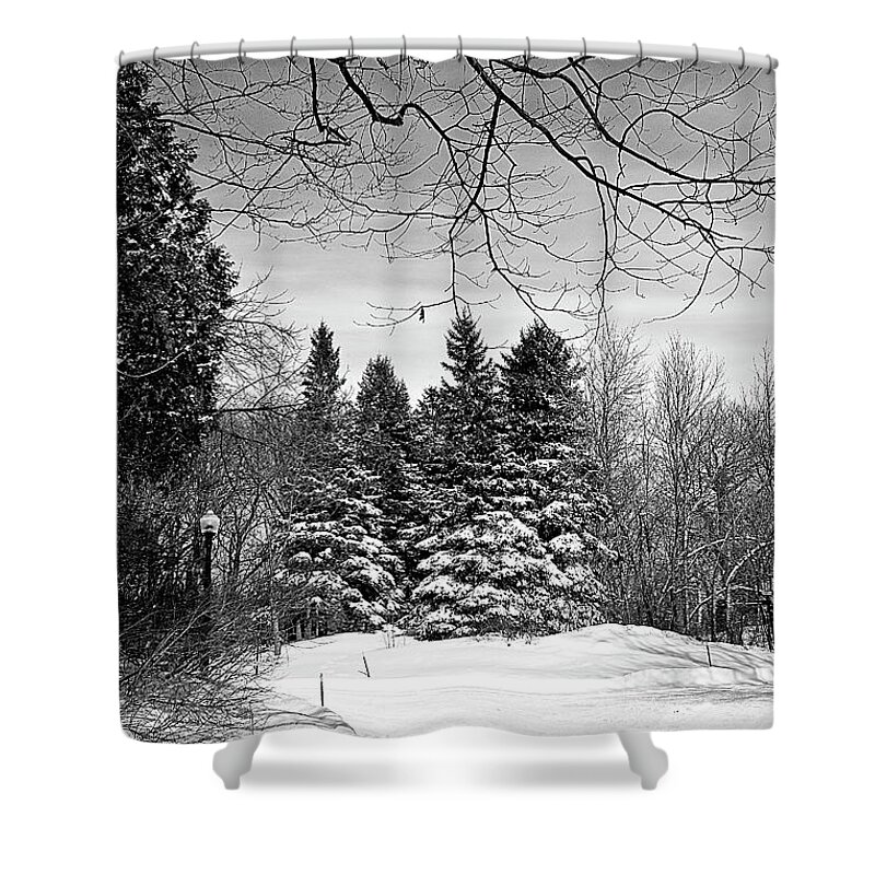  Shower Curtain featuring the photograph 9149a by Burney Lieberman