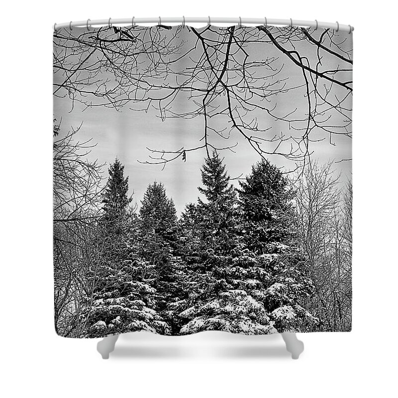  Shower Curtain featuring the photograph 9150bw by Burney Lieberman