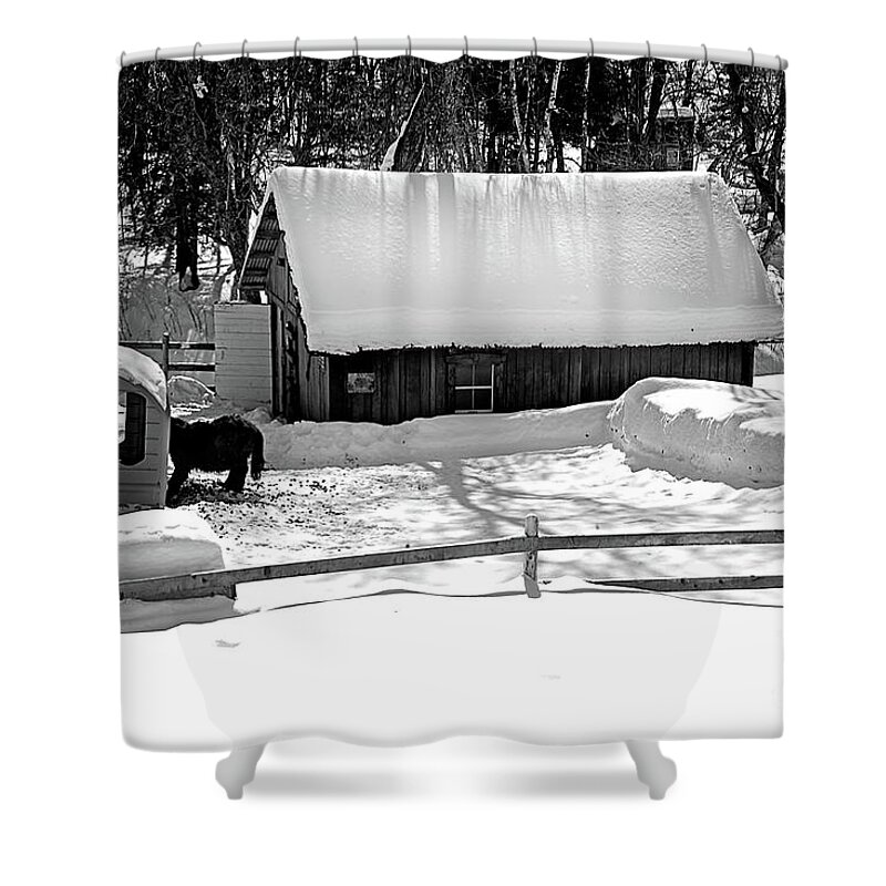  Shower Curtain featuring the photograph 9978bw by Burney Lieberman