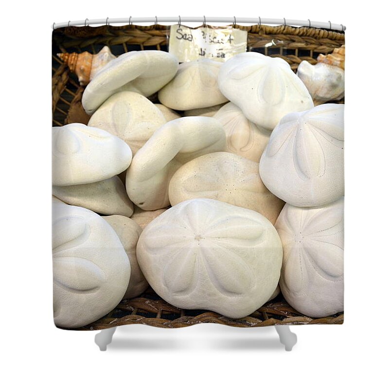 Sea Biscuits Shower Curtain featuring the photograph A Basket of Sea Biscuits by Carla Parris