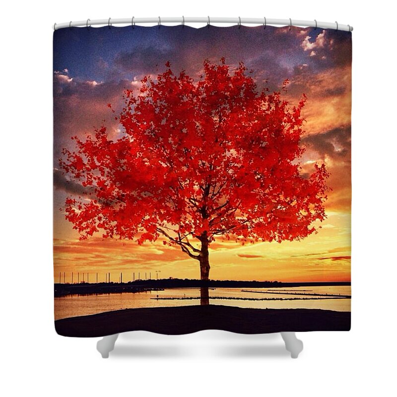 Horizon Shower Curtain featuring the photograph A Better Life Lived by Bob Hedlund