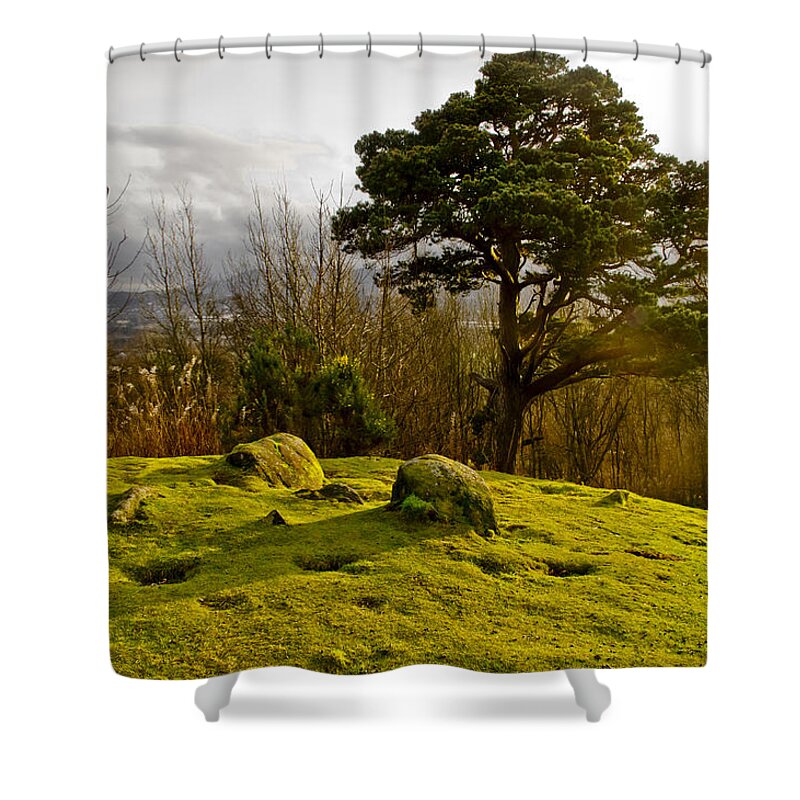 Pine Shower Curtain featuring the photograph A bit of sun for the lonely pine. by Elena Perelman