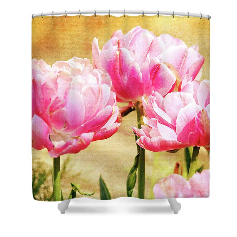 Floral Shower Curtain featuring the photograph A Bouquet of Tulips by Trina Ansel