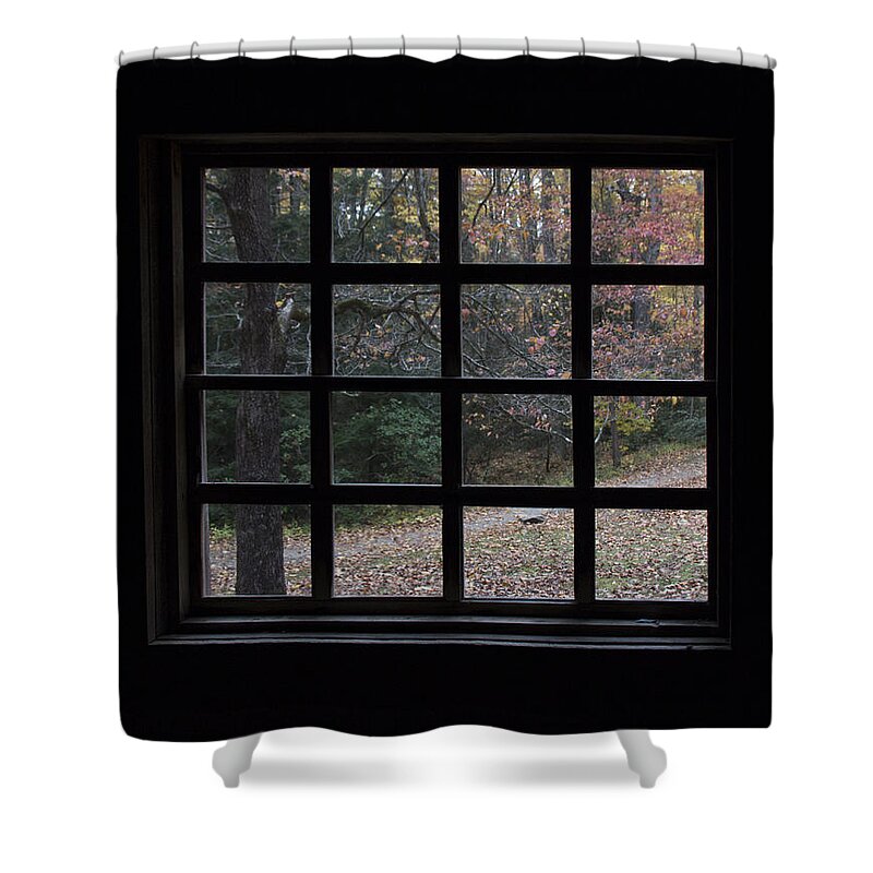 Cabin Shower Curtain featuring the photograph A Cabin View of Fall by Kathleen Scanlan