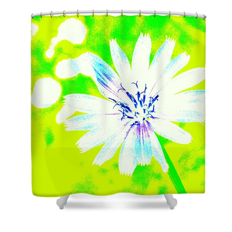 Floral Shower Curtain featuring the photograph A Daisy a Day by Julie Lueders 