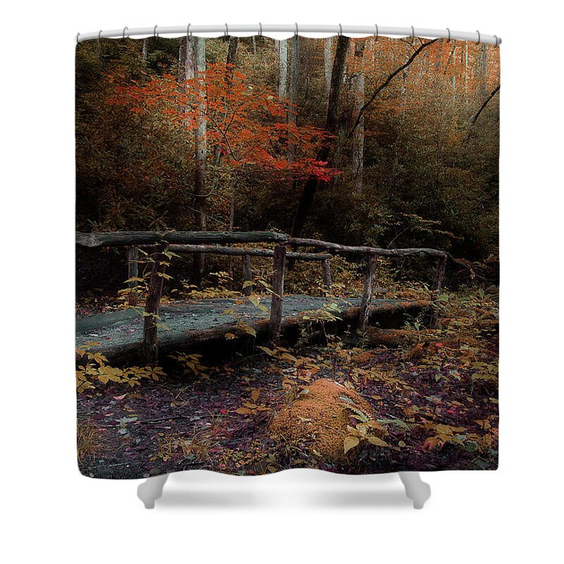 Nature Trail Bridge Shower Curtain featuring the photograph A Day Hiking by Mike Eingle