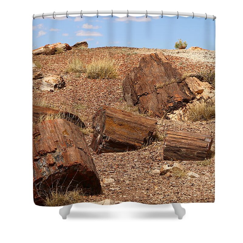 Log Shower Curtain featuring the photograph A Fallen Forest by Christiane Schulze Art And Photography