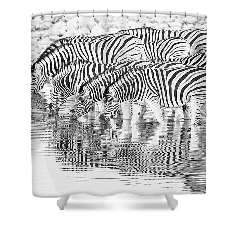 Africa Shower Curtain featuring the photograph A family that drinks together. by Usha Peddamatham