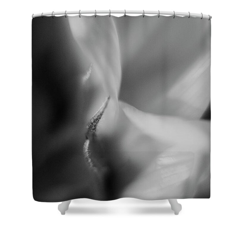 Macro Shower Curtain featuring the photograph A Fine Point by Nancy Dinsmore